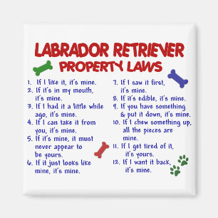 Íman Leis da propriedade de LABRADOR RETRIEVER