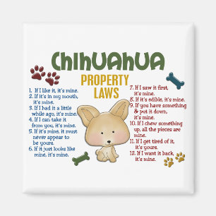 Íman Leis de Propriedade Chihuahua 4