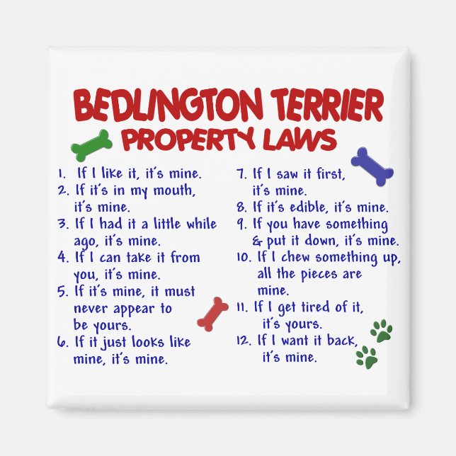 Íman Leis de propriedade do TERRIER BEDLINGTON 2 (Frente)