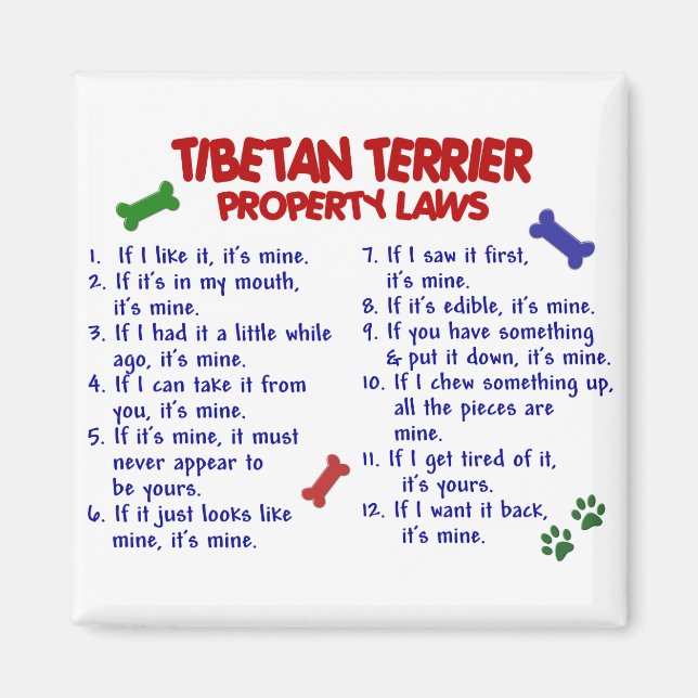 Íman Leis de propriedade do TERRIER TIBETAN 2 (Frente)