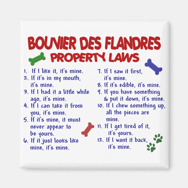 Íman Leis de Propriedades BOUVIER DES FLANDRES 2 (Frente)