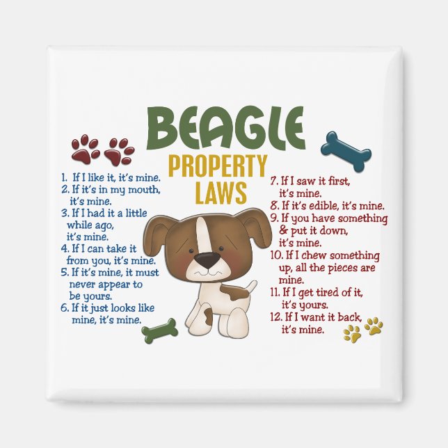 Íman Leis de Propriedades do Beagle 4 (Frente)