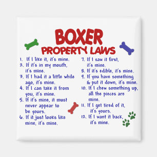Íman Leis de Propriedades do Boxer 2
