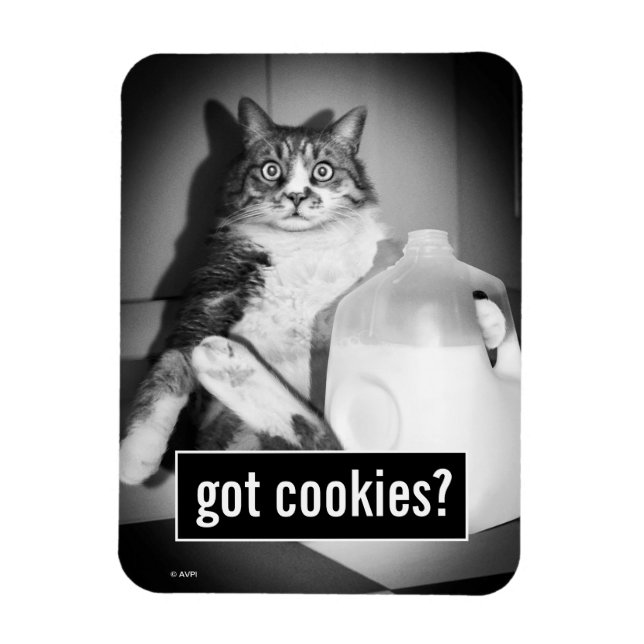 Íman Leite De Bebendo De Gato De Jug (Vertical)