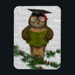 Íman Leitura De Coruja Na Ramificação<br><div class="desc">Animais e Natureza</div>