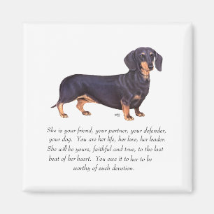 Íman Lembrança de Dachshund - Fêmea