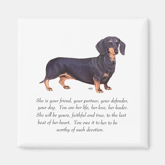 Íman Lembrança de Dachshund - Fêmea (Frente)