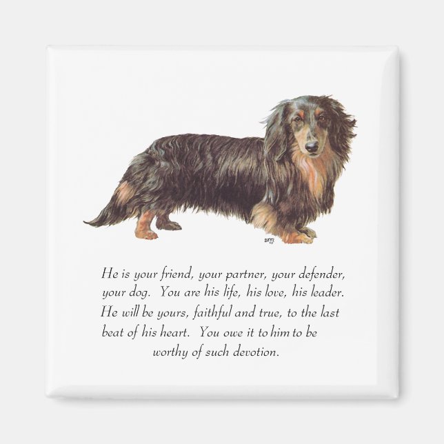 Íman Lembrança de Dachshund - Macho (Frente)