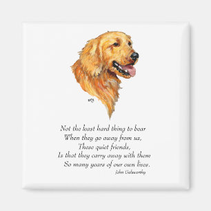 Íman Lembrança do Golden Retriever