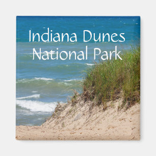 Íman Lembrança do parque nacional das dunas de Indiana