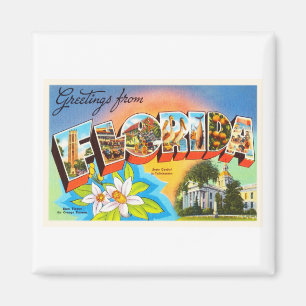 Íman Lembrança velha das viagens vintage de Florida FL
