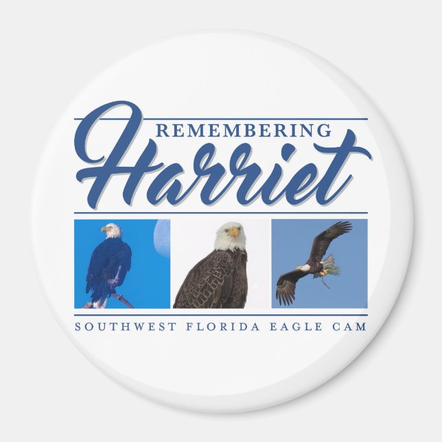 Íman Lembrando o Harriet Magnet (Frente)