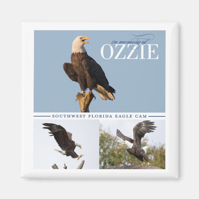 Íman Lembrando o ímã Ozzie (Frente)