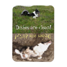 Lembrete da máquina de lavar louça, Limpo versus s