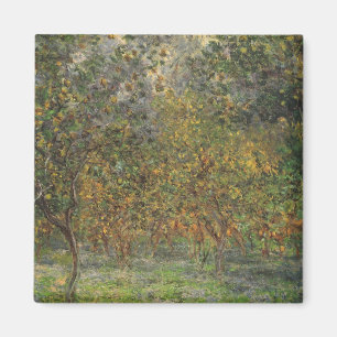 Íman Lemon Grove em Bordighera por Claude Monet