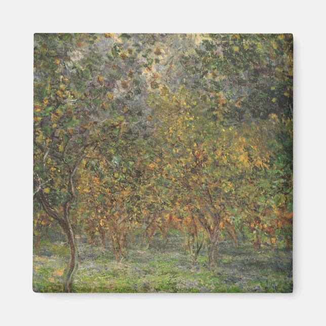 Íman Lemon Grove em Bordighera por Claude Monet (Frente)