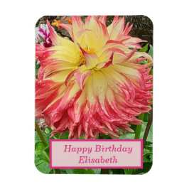 Íman Lente rosa e amarelo Dália flexível