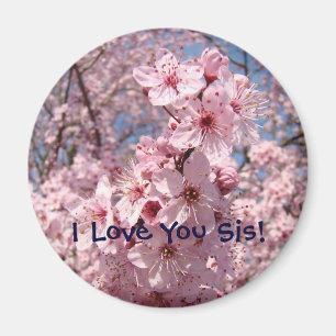 Íman Lente-rosa, íman, Eu Amo-Te Sis!