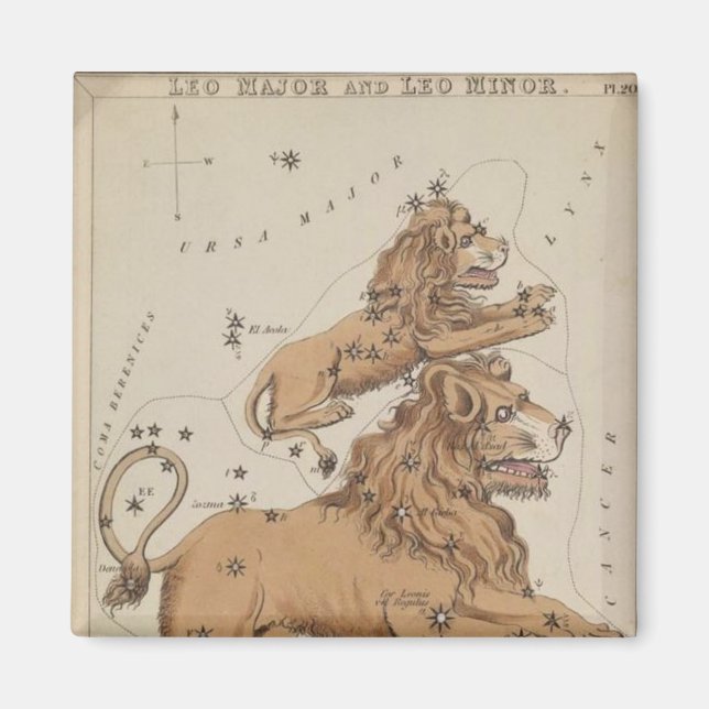 Íman Leo Magnet (Frente)