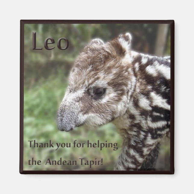 Íman Leo, o Andean Tapir (Frente)