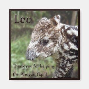 Íman Leo o Tapir andino