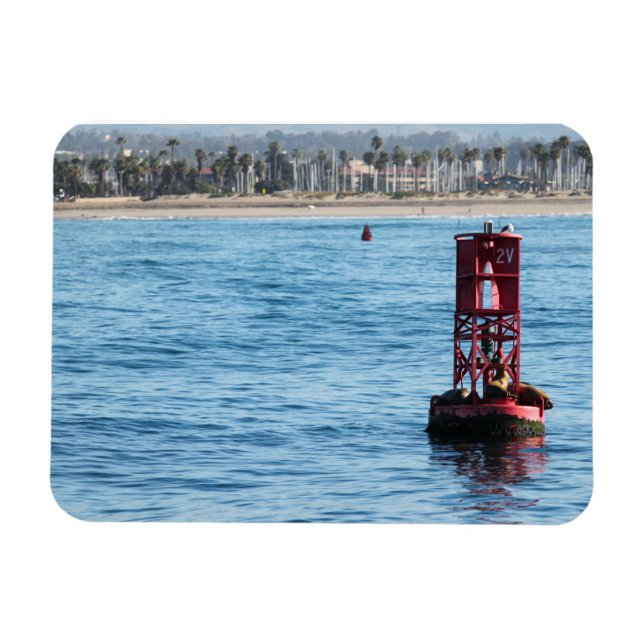 Íman Leões do Mar de Buoy (Horizontal)