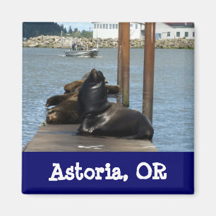 Íman Leões-marinhos de Astoria Oregon