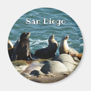 Íman Leões Marinhos de San Diego