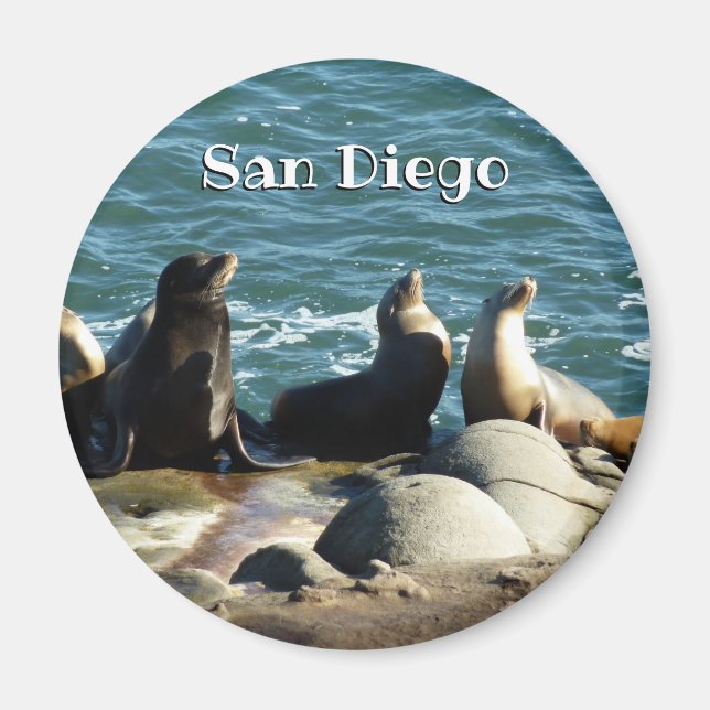 Íman Leões Marinhos de San Diego (Frente)