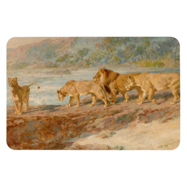 Íman Leões na margem de um rio africano (Horizontal)