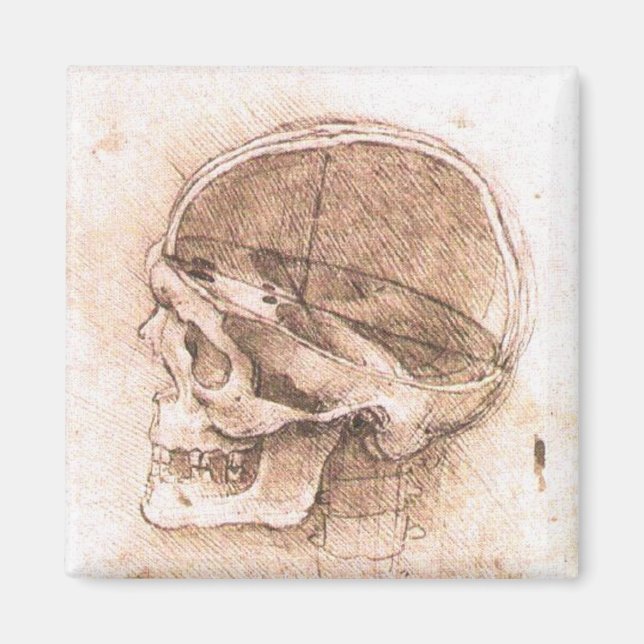 Íman Leonardo da Vinci Anatomia Caveira Belas Artes (Frente)