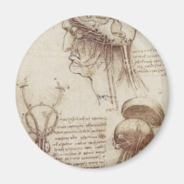 Íman Leonardo da Vinci - Fisiologia Cerebral