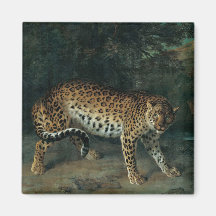 Leopardese (por Jean-Baptiste Oudry)
