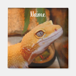 Íman Leopardo Amarelo Personalizado Gecko Lizard
