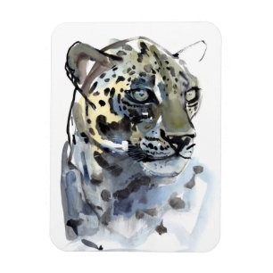 Íman Leopardo árabe 2008 4