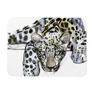 Íman Leopardo árabe 2008 6
