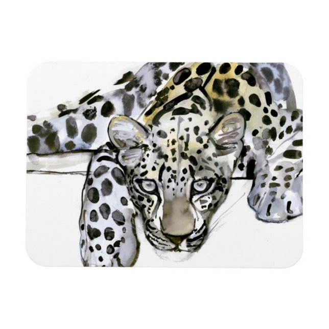 Íman Leopardo Árabe 2008 6 (Horizontal)