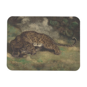 Íman Leopardo e serpente