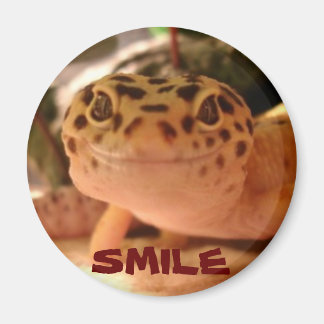 Íman Leopardo Gecko Smile