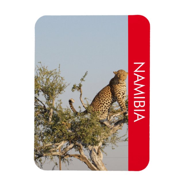 Íman Leopardo, Namíbia Magnet (Vertical)