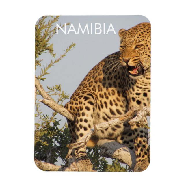 Íman Leopardo, Namíbia Magnet (Vertical)