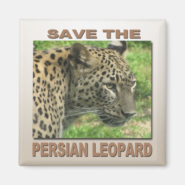 Íman Leopardo Persa (Frente)