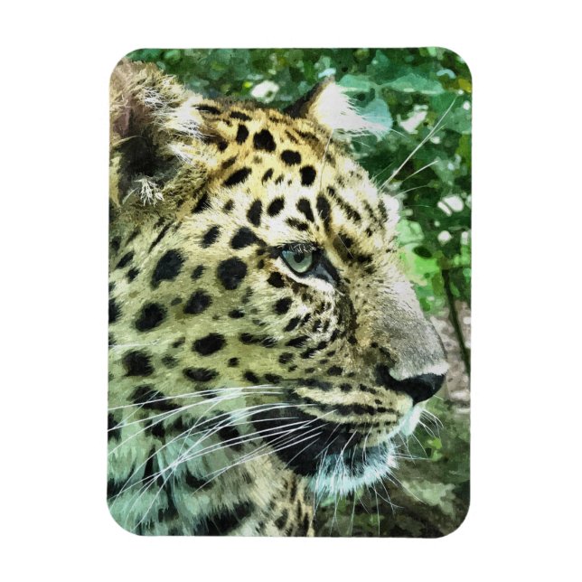 ÍMAN  LEOPARDS (Vertical)
