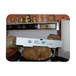 Íman Leo's Pizza Blanket
