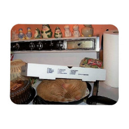 Íman Leo's Pizza Blanket