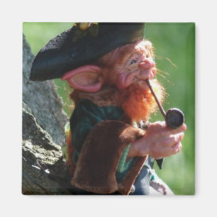 Íman leprechaun real