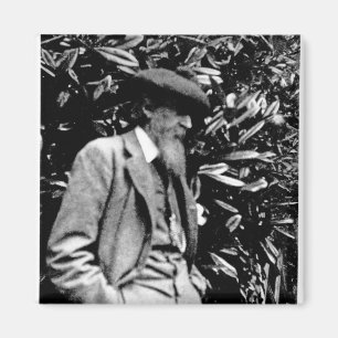 Íman Leslie Stephen, 1900
