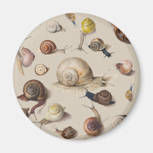 Íman Lesma Caracol Jardim Animal de Estimação Gastrópod