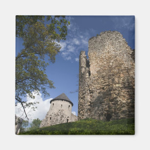 Íman Letónia, Nordeste da Letónia, Região de Vidzeme