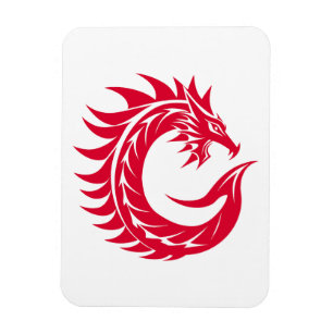 Íman Letra C Estilizada com Dragão, Alfabeto de Dragão,